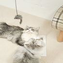 Brinquedo de Porta Interativo para Gatos