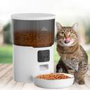 Alimentador Inteligente com App de Comando para Gatos